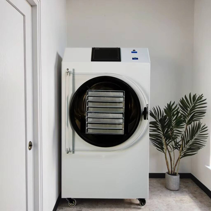 Dried Fruit - Automatische SPS-gesteuerte Trocknungsmaschine für getrocknete Kaffeefrüchte,